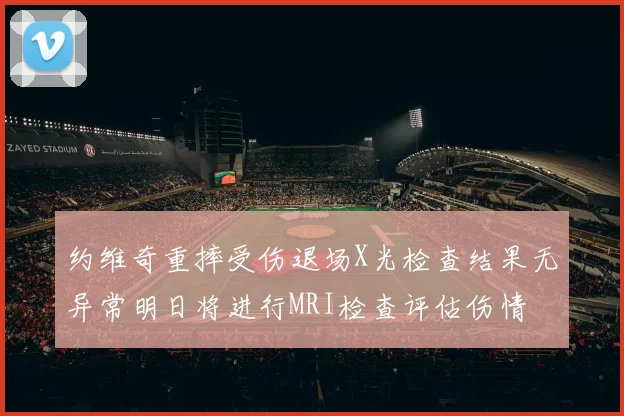 约维奇重摔受伤退场X光检查结果无异常明日将进行MRI检查评估伤情
