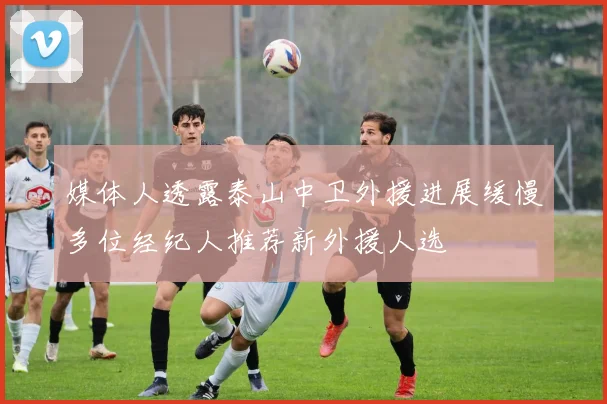 媒体人透露泰山中卫外援进展缓慢多位经纪人推荐新外援人选