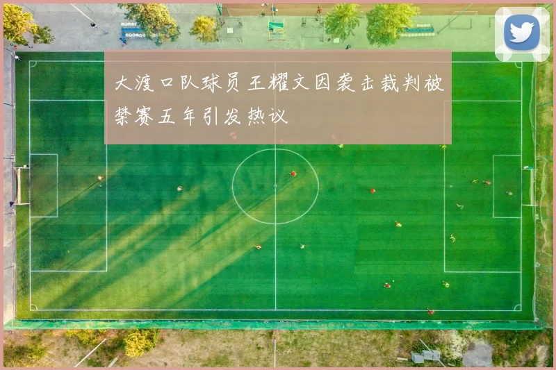 大渡口队球员王耀文因袭击裁判被禁赛五年引发热议